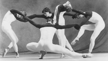 Poster Beach Birds for Camera