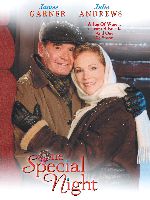 Poster One Special Night