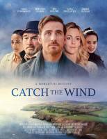 Poster Catch the Wind